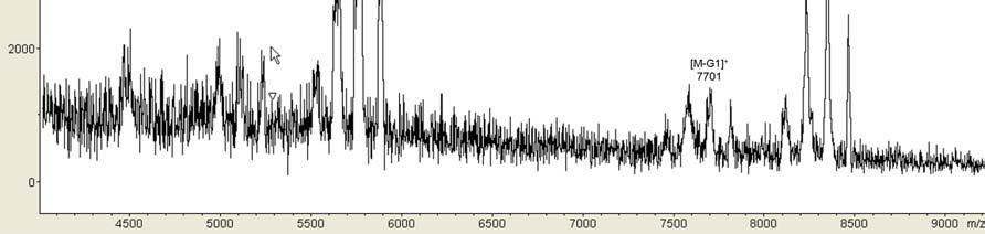 Figure S7. MALDI-TOF spectra of G2 dendron 8. Figure S8. MALDI-TOF spectra of G3 dendron 11.