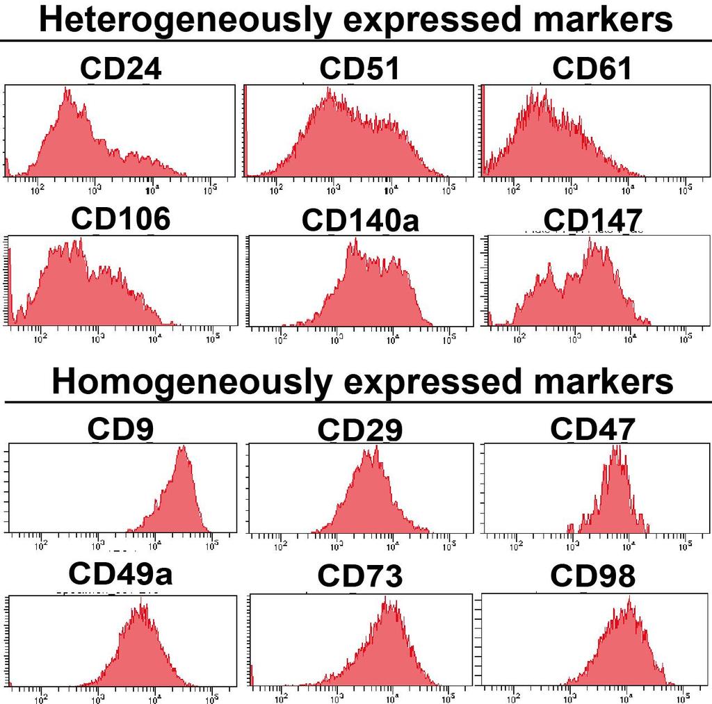 markers expressed STOP YFP Identification of cell surface markers heterogenously expressed during EMT