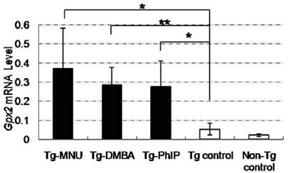 108 Hras Hras N-methyl-N-nitrosourea MNU dimethylbenz a - anthracene DMBA amino- -methyl- -phenylimidazo-b]pyridine PhIP Hras RNA DNA CodeLink rat whole genome Hras Glutathione peroxidase Gpx Hras