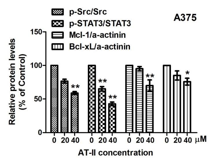 AT-II inhibited STAT3 signaling in