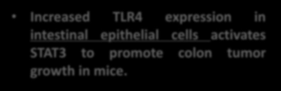 Increased TLR4 expression in intestinal epithelial cells activates STAT3 to promote colon