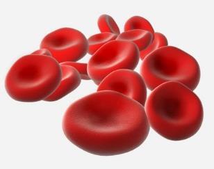 % Hemolysis Pore-forming activity of Exolysin-producing Pa Pore forming activity on red blood cells (RBCs) H 2 O EBM2 RBC Osmotic lysis (hemolysis A 560nm ) α-hemolysin (Staphylococcus aureus) P.