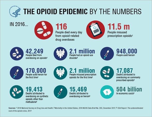 Problem Statement Opioid addiction is a national crisis (President Trump declared a national emergency the same day as the regional summit) and the Richmond region is not immune to this issue.