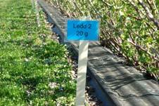 Five applications in late April to mid June Fruit cluster stalks