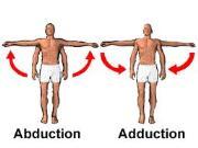 Joint surfaces tend to move away from each other Hyperextension is the continuation of extension beyond the anatomical position Abduction & Adduction Abduction is movement away from the midline of