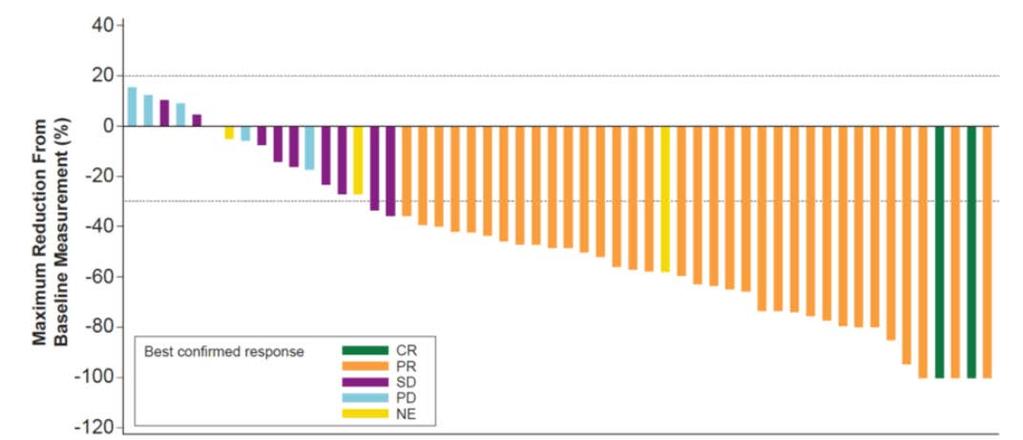 Dabrafenib Plus Trametinib in BRAF V600E mutated NSCLC Response Rate: 63% Median PFS: 9.