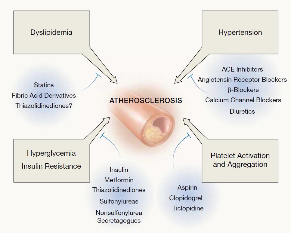Antiatherosclerosis Therapy in Diabetic
