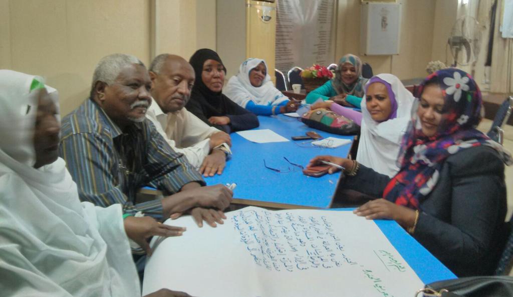 Capacity building for decision makers to use evidence in policy making in Sudan Bashir Ali & Amira A.