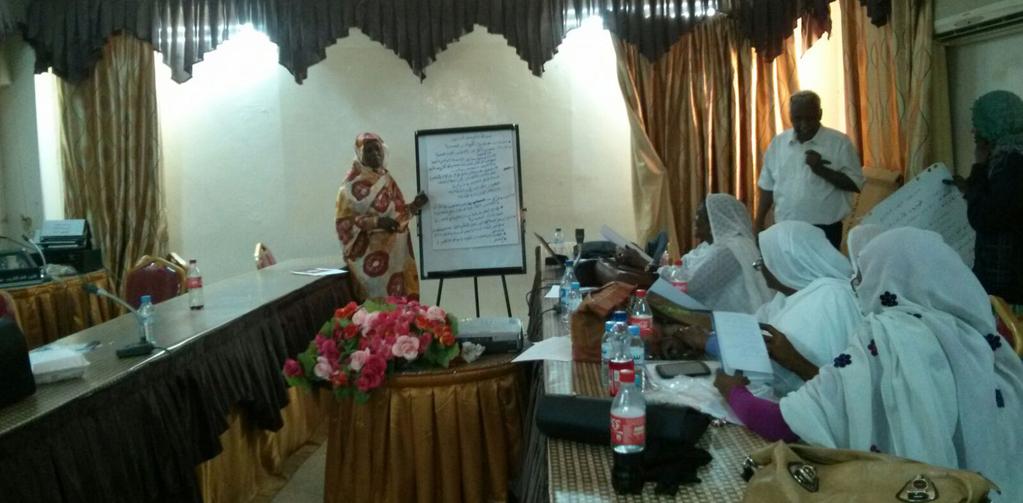A trainer talking about the challenges and opportunities during a training held in Khartoum of Education to find, critically assess, and use data and research evidence in policy making through