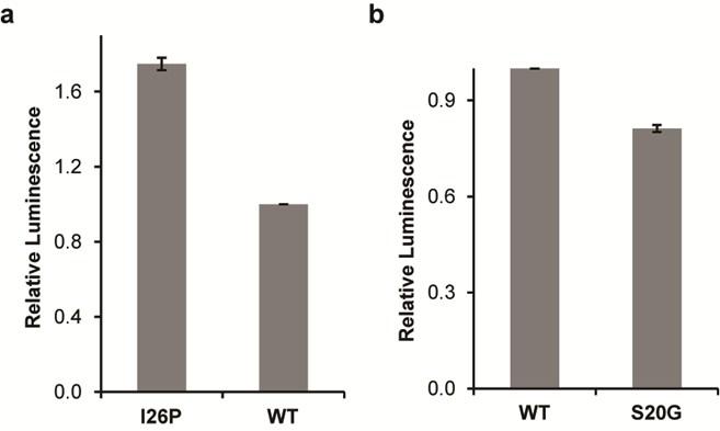 Figure S2 Luminescence intensity of bacterial cells expressing fusions of I26P (a) or S20G (b) mutants to N65, relative to wild-type