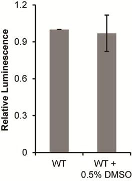 Figure S4 Inhibitor solvent does not influence luminescence. Assays were conducted as in Fig. 3.
