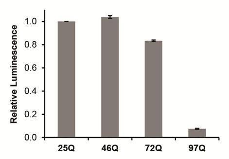 Figure S5 Luminescence intensity of bacterial cells expressing the indicated Htt fusions to N65.