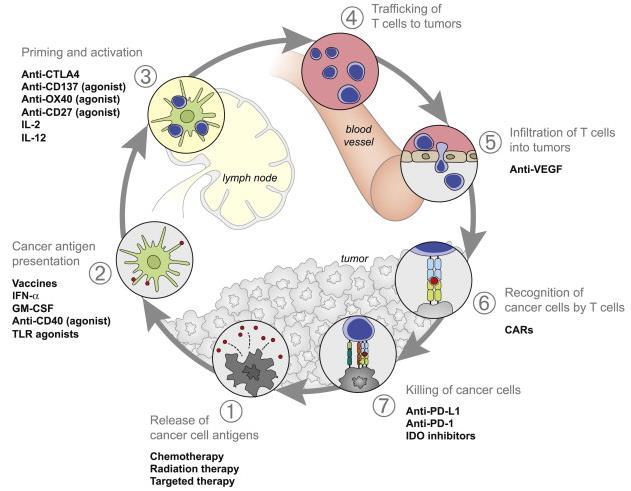 Immune Checkpoint Inhibitors Chen and Mellman Immunity, 2013, 39:1-10 Priming and activation Anti-CTLA4 Anti-CD137 (agonist) Anti-OX40 (agonist) Anti-CD27 (agonist) 3 4 Trafficking of T cells to