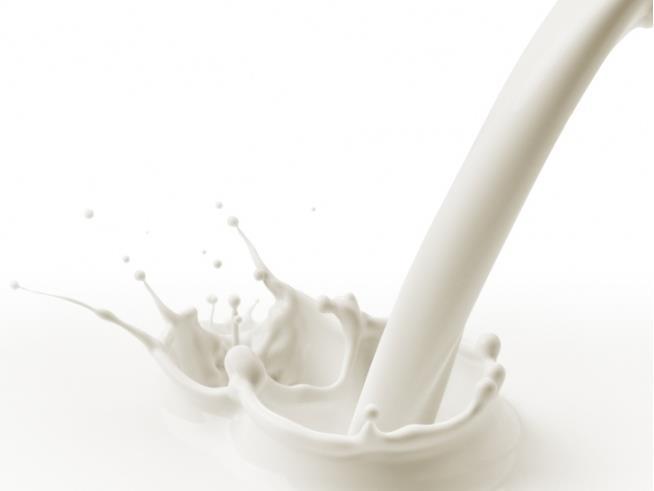 Milk and calcium - Milk is a heterogeneous mixture of proteins, sugar, fat, vitamins and minerals. - Milk and milk products are some of the natural sources of calcium.