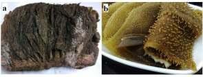 Fig. 1: (a) Appearance of salted bovine omasum, (b) maodu production Table 1: Independent variable values of the process and their corresponding levels Symbol ---------------------------- Level
