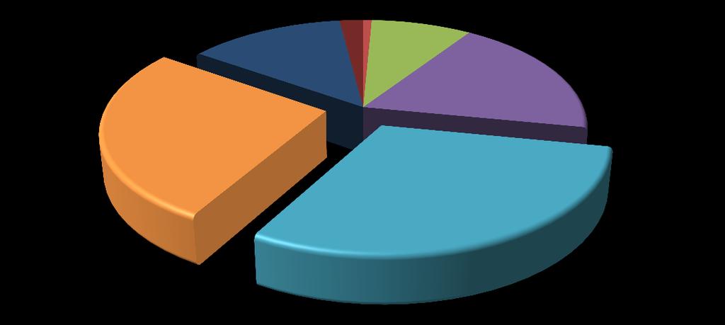 80-89 13% Distribution by Age