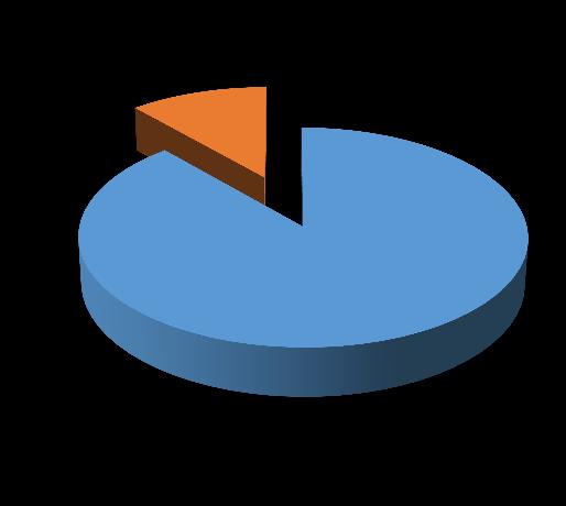 Deposition of pigment Deposition of pigment in one eye 11,42% in two eyes 11,47% 88,58%
