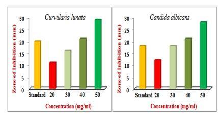 Organisms 1 Curvularia lunata 2 Candida albicans Zone of inhibition(mm) Standard Sample Concentration (mg/ml) (Fluconazole) 20 30 40 50 20 11 16 21 29 18 12 18 21 28 Fig.