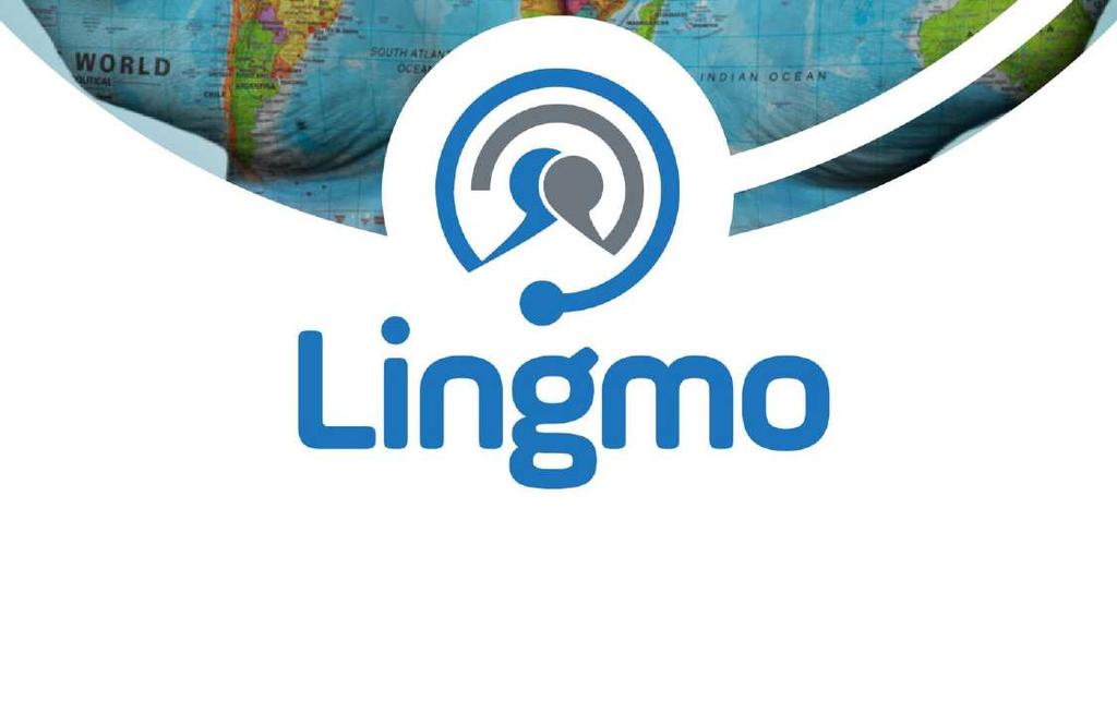 Lingmo Translate