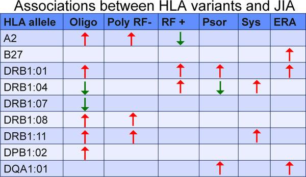 Hersh and Prahalad Page 24 Fig. 2. Summary of associations between selected HLA alleles and different categories of JIA.