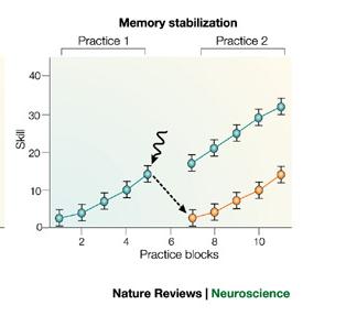amygdala (BLA) No effect on short term memory No