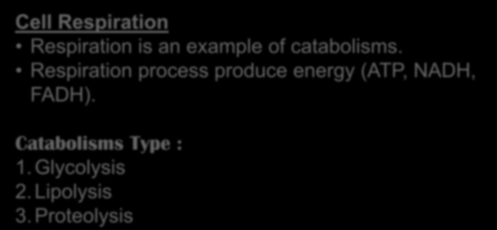 Respiration process produce energy (ATP, NADH,