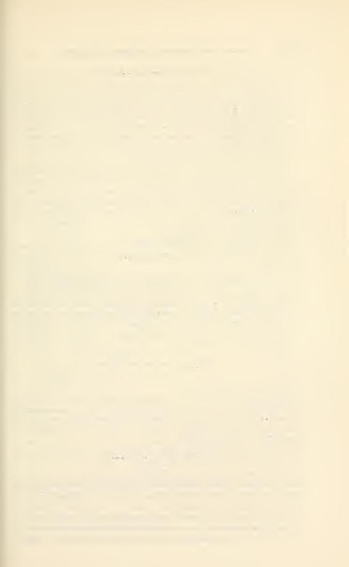 NEOTROPICAL MICROLEPIDOPTERA, VI CLARKE 199 Orsotricha venosa (Butler) Figure 1; Plate 1 (Fig. 1) Topeulis venosa Butler, 1883, Trans. Ent, Soc. London, 1883, p. 77.