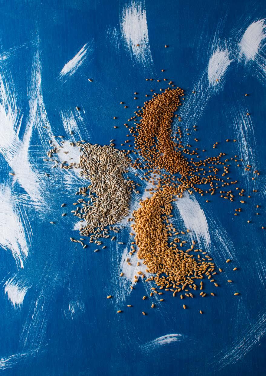 Groats and Grain Buckwheat Buckwheat contains the valuable B, PP, P vitamins, calcium, phosphorous, iodine, iron and amino acids.