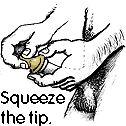 W? 3. Squeeze the tip of the condom to eliminate air bubbles as you unroll it onto an erect penis.