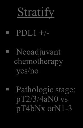pt3-4nx or pn+ post surgery with no chemotherapy Stratify PDL1 +/- Neoadjuvant chemotherapy yes/no Pathologic stage: pt2/3/4an0 vs pt4bnx orn1-3 R A
