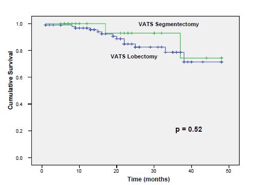 VATS segmentectomy is equal to VATS lobectomy