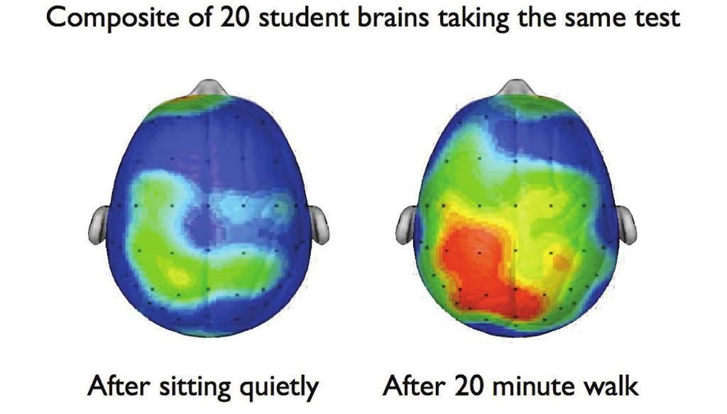 PHYSICAL ACTIVITY REGULAR PHYSICAL ACTIVITY IMPACTS THE BRAIN, IT Boosts your memory Improves your concentration Helps reduce stress Lengthens attention span PHYSICALLY ACTIVE PUPILS HAVE MORE ACTIVE