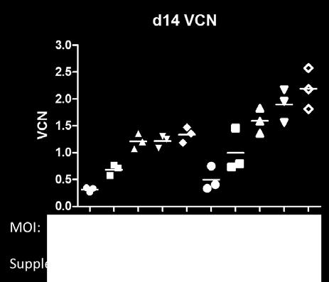 PGE2 increases VCN over a broad range of MOI CD34+ cells were transduced with research-grade LVV containing MND-ALDP transgene at MOI 4, 8, 12,