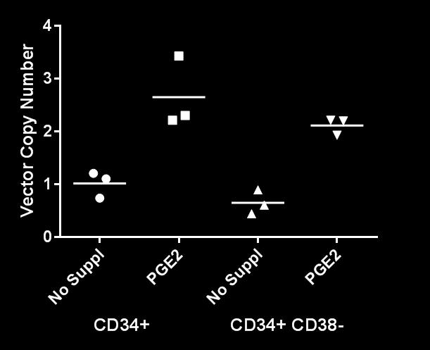 Figure S4. PGE2 improves transduction of CD34+ CD38- cells in culture CD34+ CD38- cells were sorted on a BD FACSAria II.