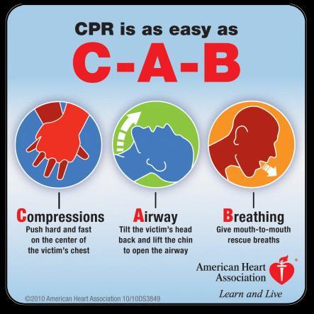 Basic Life Support: Cardiopulmonary Resuscitation (CPR). 2017 Lecture prepared by, Amer A.