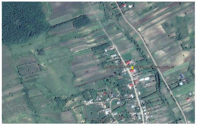 Newcastle disease outbreak in backyard farm, 12.10.2016, Suseni locality Vaslui County Outbreak holding: Backyard with 106 poultry, from wich 26 were adult laying hens and 80 chickens.