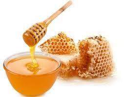Outlines of presentation 1. Introduction 2. Current methodologies used to detect honey adulteration 3.