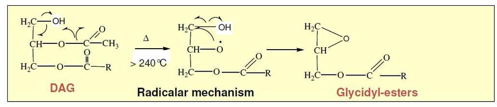 3-MCPDE/GE formation mechanisms Nucleophile substitution 2-MCPD esters, 3-MCPD