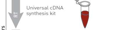 Accurate microrna PCR profiling