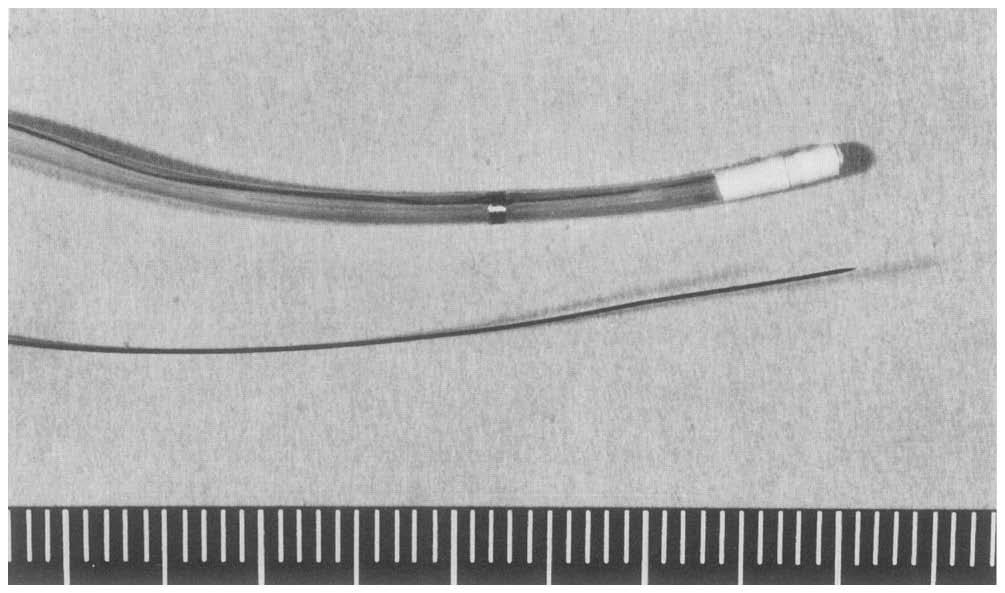 Tip of catheter is sharp to minimize tissue injury by spinal cord puncture. Platinum electrode for measuring H 2 clearance is placed in tip. nitrous oxide.