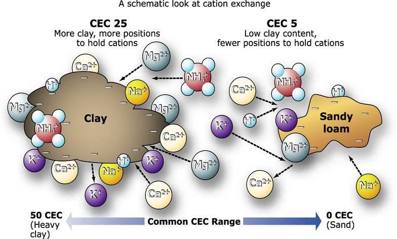 Cation Exchange Capacity Soil Texture CEC Range ( meq /100gm soil )