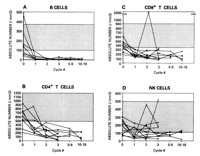 Impact of HD cyclophosphamide on T- cell