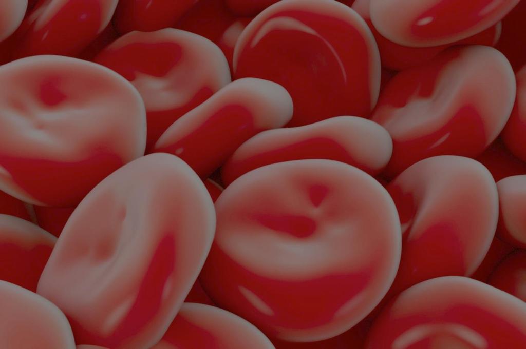 Red blood cell transfusions in the