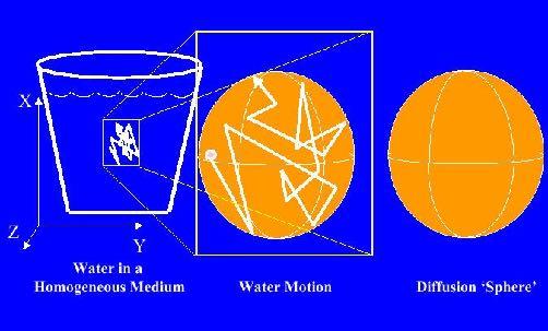 Diffusion imaging of