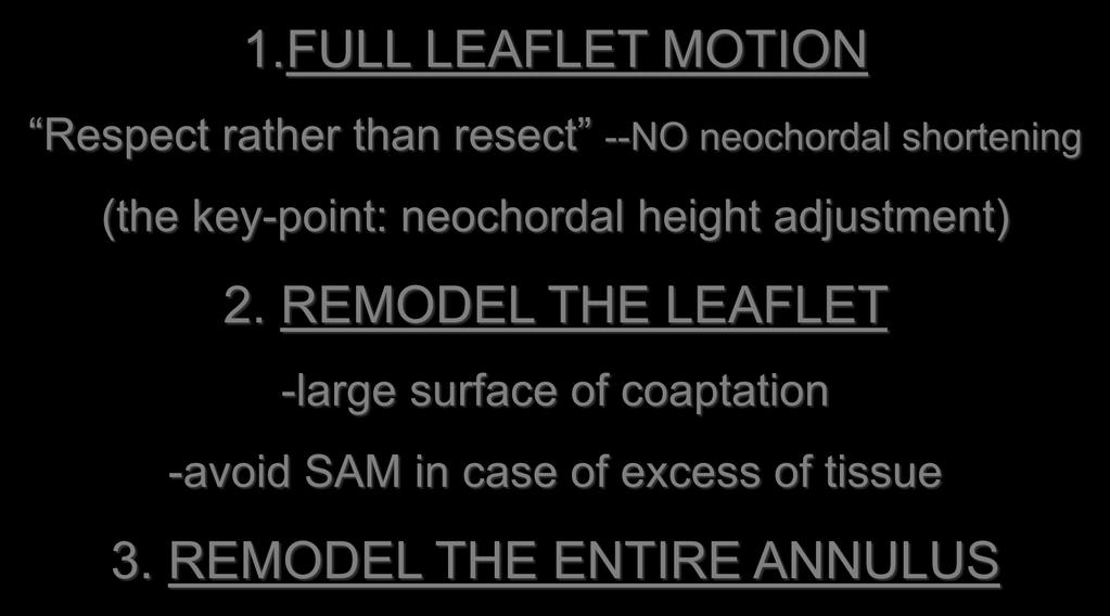 REMODEL THE LEAFLET -large surface of