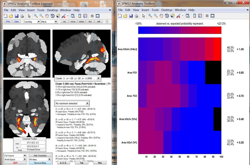 Blobs and Labels Anatomy Toolbox: assign probabilities based on (i) blobs location given anatomical labels (ii)