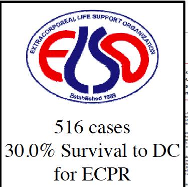 31,6 (18 of 57); -One survivor of three (CPR>60 min) had severe