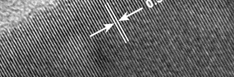 electron microscopy Figure 3.