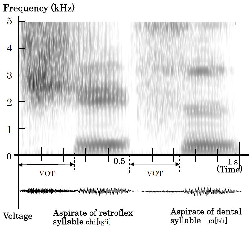 The aspirate appears in the brief interval at the right of the spectrogram of ca[ʦ a], indicated by the light, thin vertical stripes during VOT, between the stop burst and the onset of vocal fold