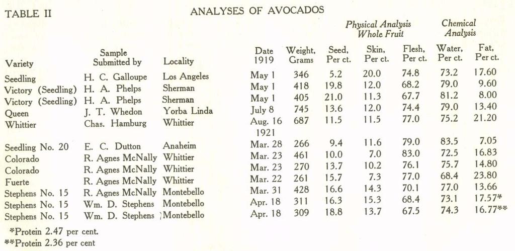 It will be observed from the table that a new variety of the avocado received from Sierra Madre, from Mr. A. F. Snell, weighing 313 grams, shows 32.4 per cent fat for the edible portion for the flesh.